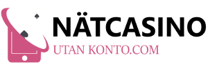 nätcasinoutankonto logo